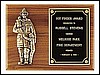 Firematic Award Plaque (9"x12")